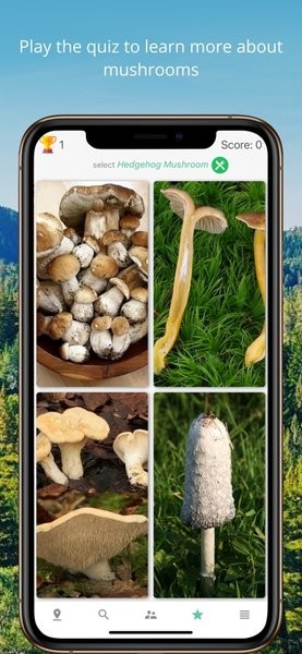 mushroom identification蘑菇鉴定软件