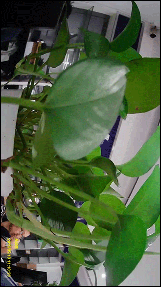 gactdvr行车记录仪