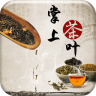 掌上茶叶