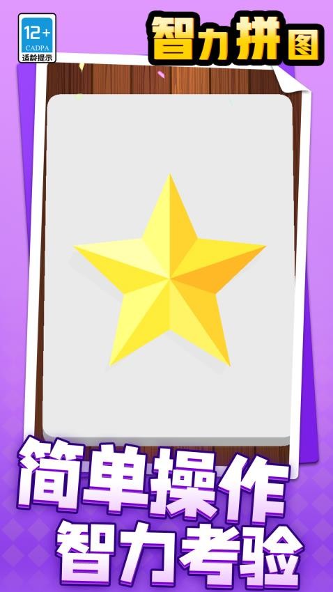 智力拼图