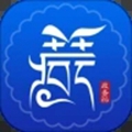西藏自治区政务服务平台 安卓版v2.9.2