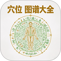 穴位图谱大全