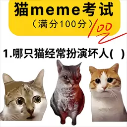 猫meme热梗