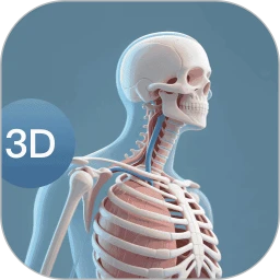 3dbody人体解剖学