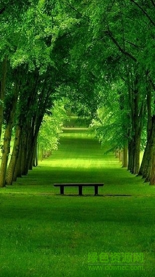 全局透明壁纸苹果版app