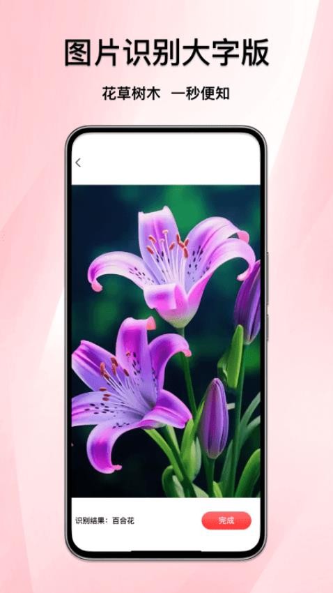 图片识别大字版