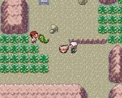 口袋妖怪牛郎星年度版