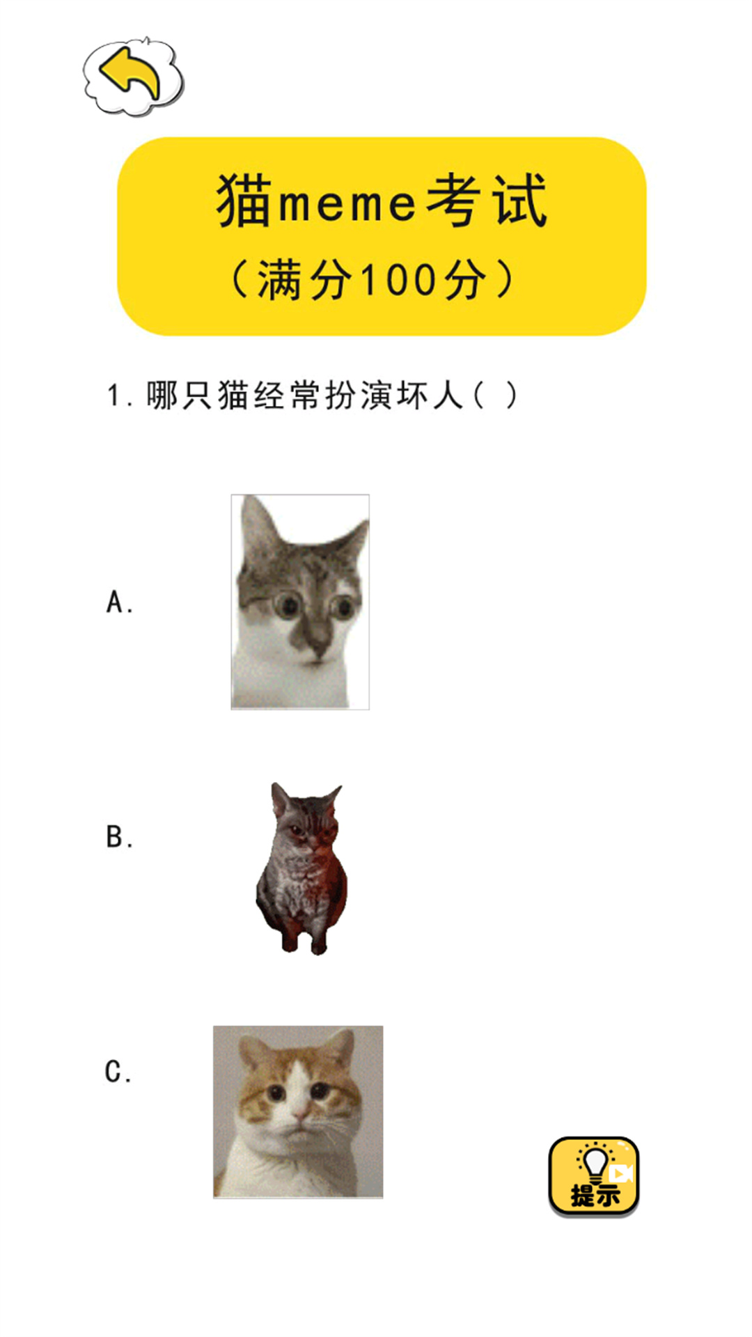 猫meme热梗