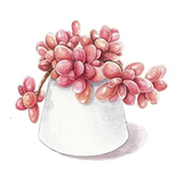 多肉花草成长日记