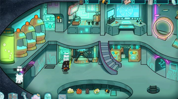 卵生猫之星际海贼团