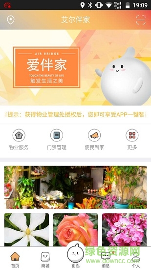 air bridge爱伴家手机客户端