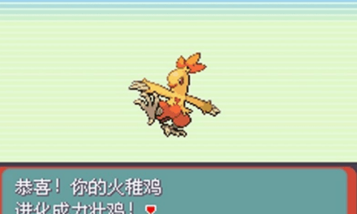 口袋妖怪:绿宝石 口袋妖怪:绿宝石