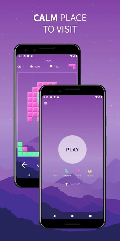 放置砖块Brick Game 放置砖块Brick Game