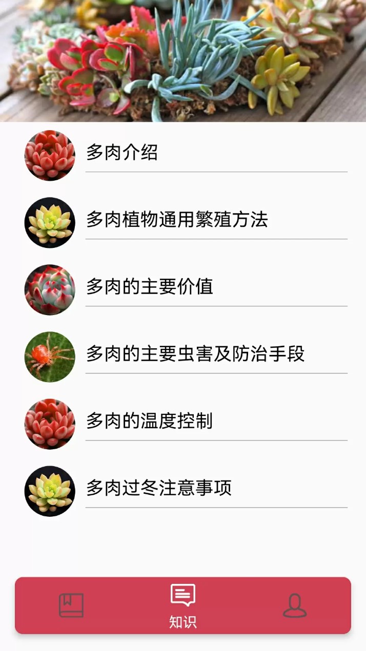 多肉花草成长日记