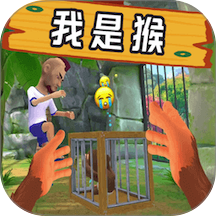 狒狒盖瑞模组
