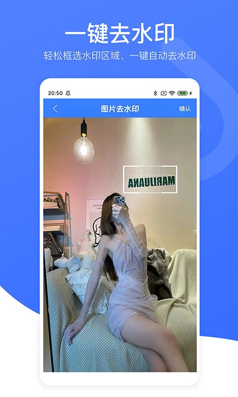 视频去水印专家