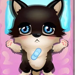 宝宝的宠物猫医生