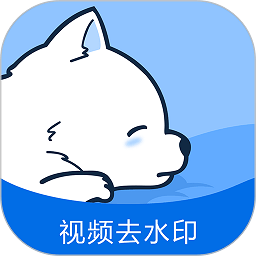 视频去水印专家