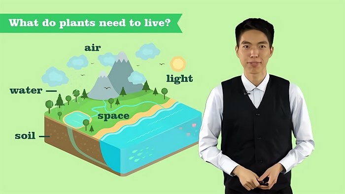 Vipchild少儿国际班