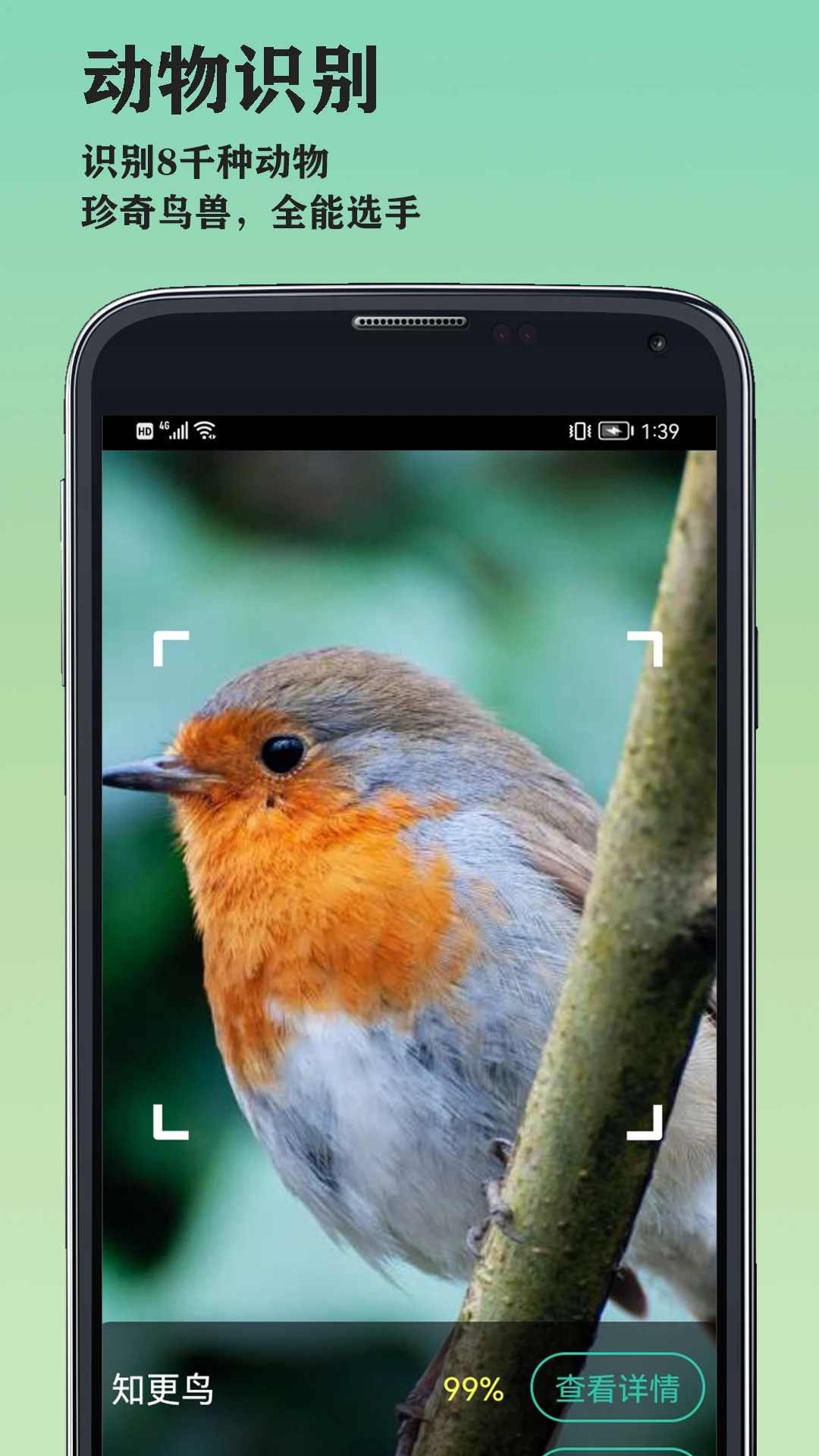 山图万物识别 山图万物识别
