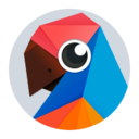 有道翻译官英文版