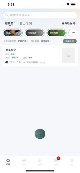 生命网格 生命网格