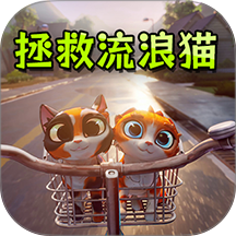 拯救流浪猫