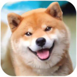 Akita Dog Simulator