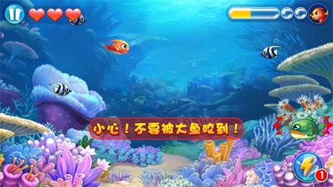 大鱼吃小鱼2单机游戏
