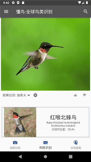 懂鸟全球鸟类识别软件