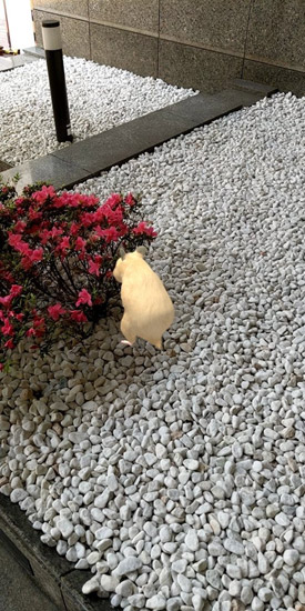 なまはむ なまはむ