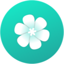 FLOWERino(心花app手账版)