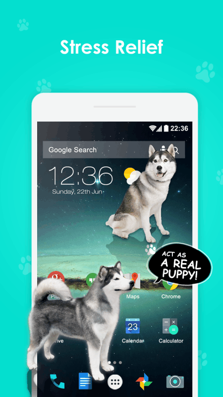 idog狗在屏幕上下载 idog狗在屏幕上下载