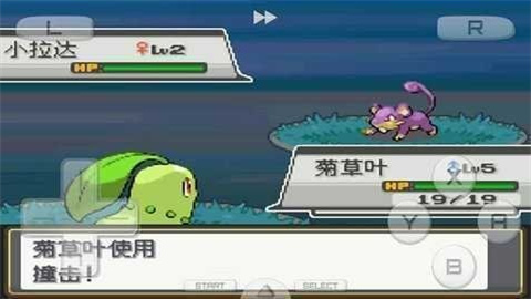 口袋妖怪：心金