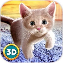 Home Cat Survival Simulator 3D