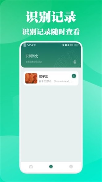 三叶草 安卓版1.1