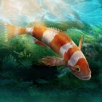 水族设计师手机版(Aquarium Designer) 1.0.0中文版