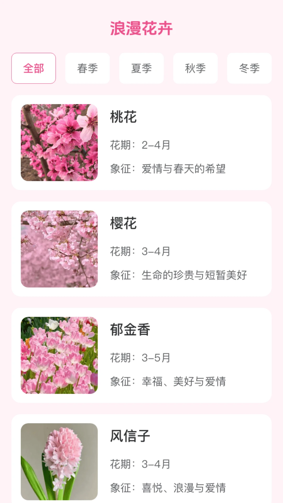 绚丽花朵