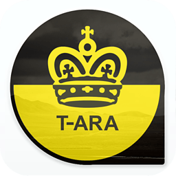 口袋·T-ara