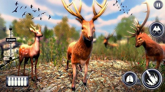 Wild Deer hunter Wild Deer hunter