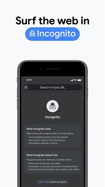 谷歌浏览器iphone版app最新版