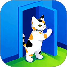 躲猫猫我贼厉害