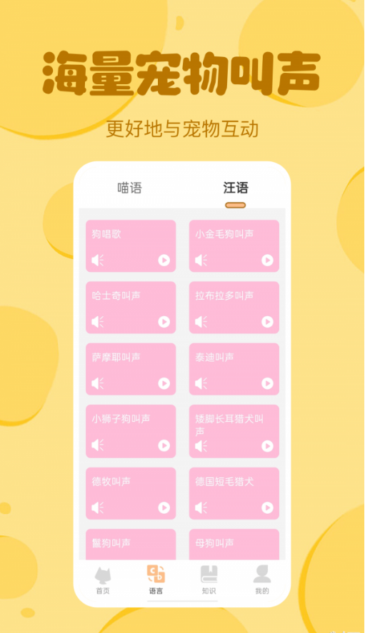 喵喵猫狗翻译器