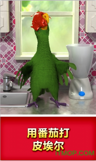 会说话的鹦鹉皮埃尔(Talking Pierre the Parrot)