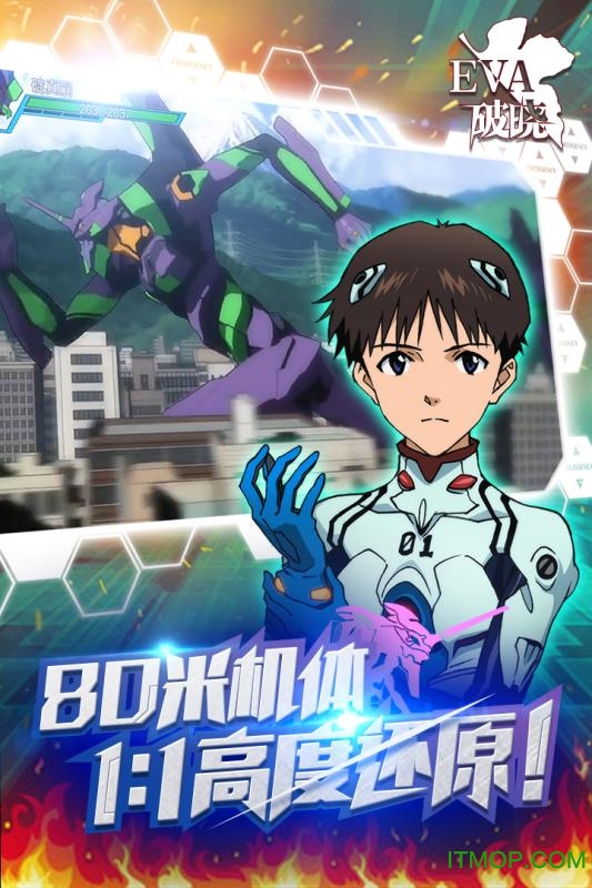 新世纪福音战士:适格者