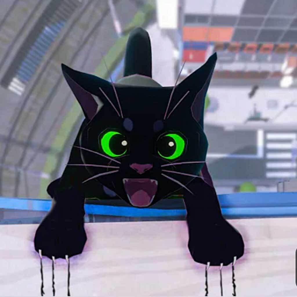 大城小猫