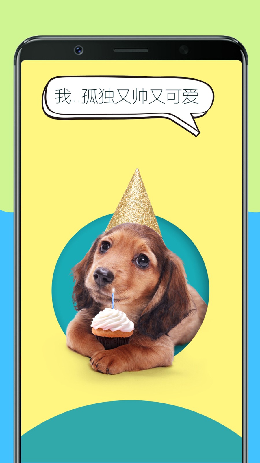 人狗训练翻译器androidanimationdemo