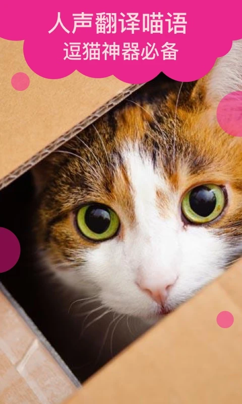 猫语翻译 猫语翻译